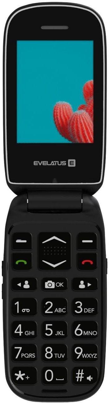 Evelatus WAVE 2020 DS kaina