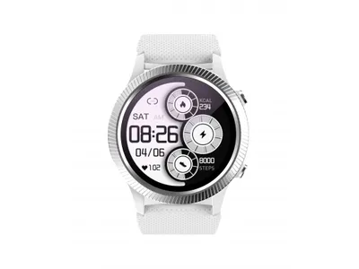 Carneo Athlete GPS цена