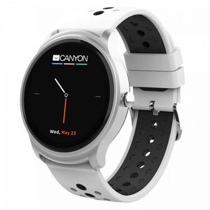 Canyon SW81 hind
