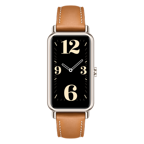 Huawei Watch Fit Mini hind