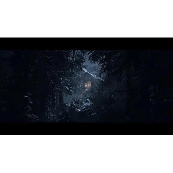 Until Dawn cena