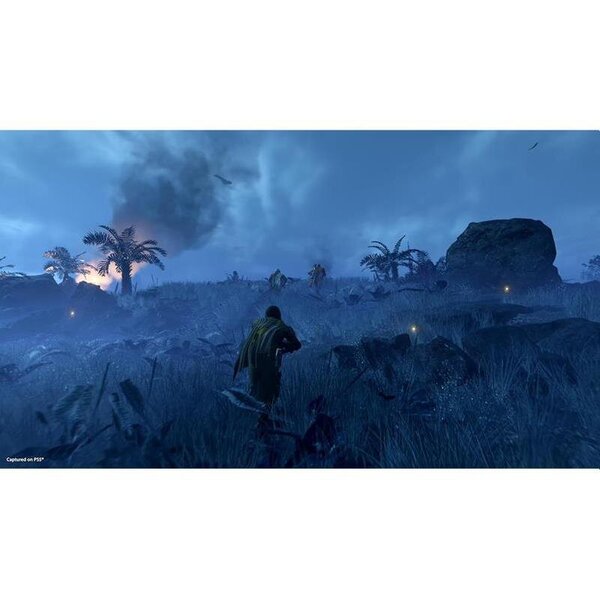 Helldivers 2 cena