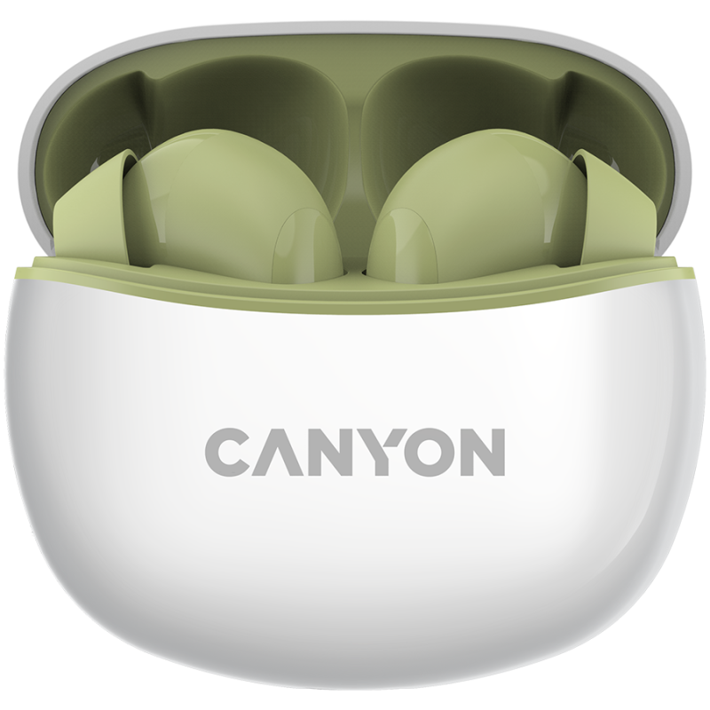 Canyon TWS-5 hind