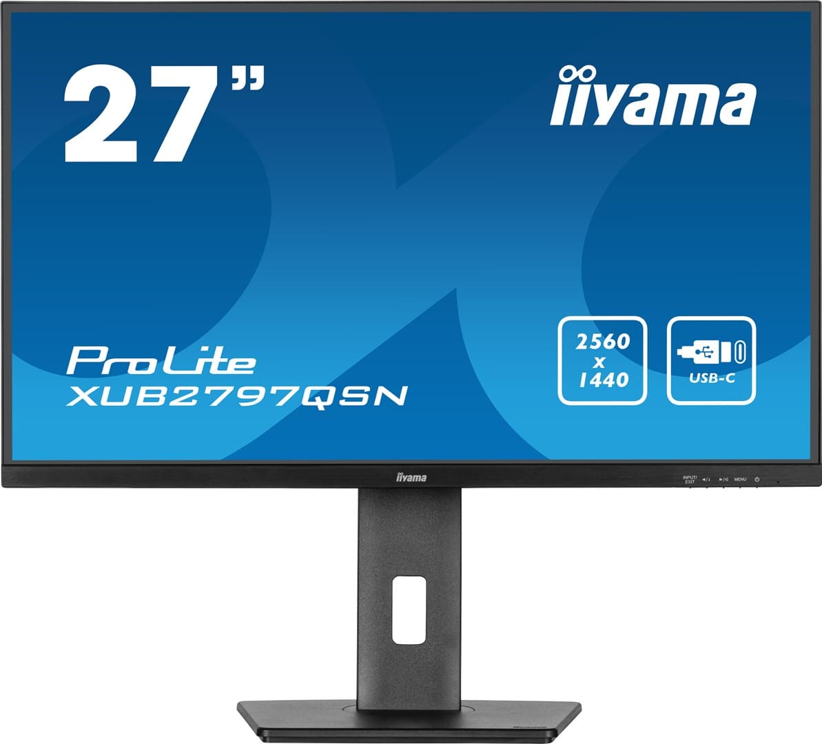 Iiyama ProLite XUB2797QSN-B2 цена