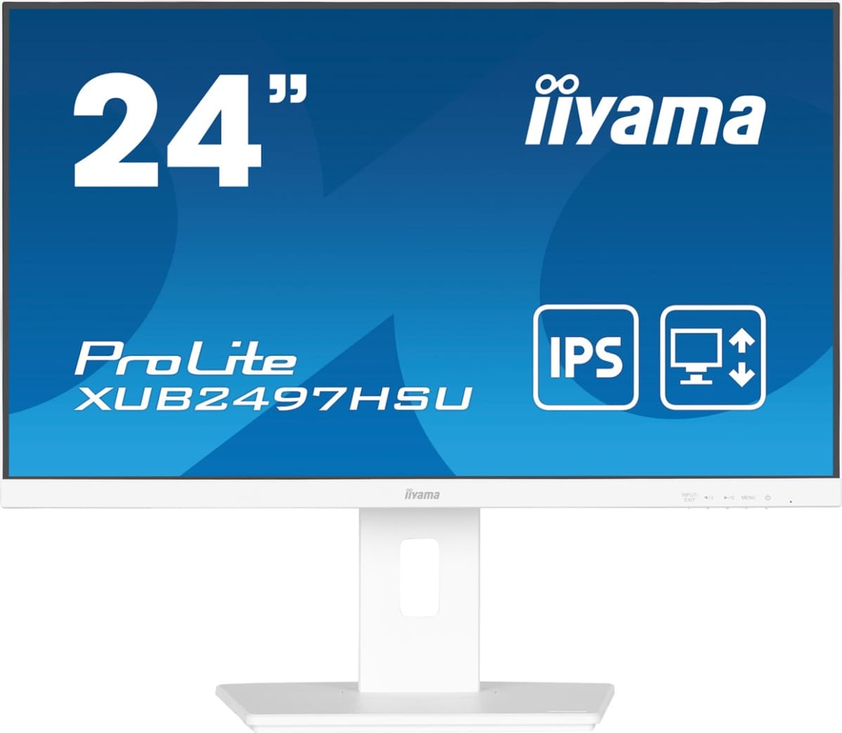 Iiyama ProLite XUB2497HSU-W2 цена