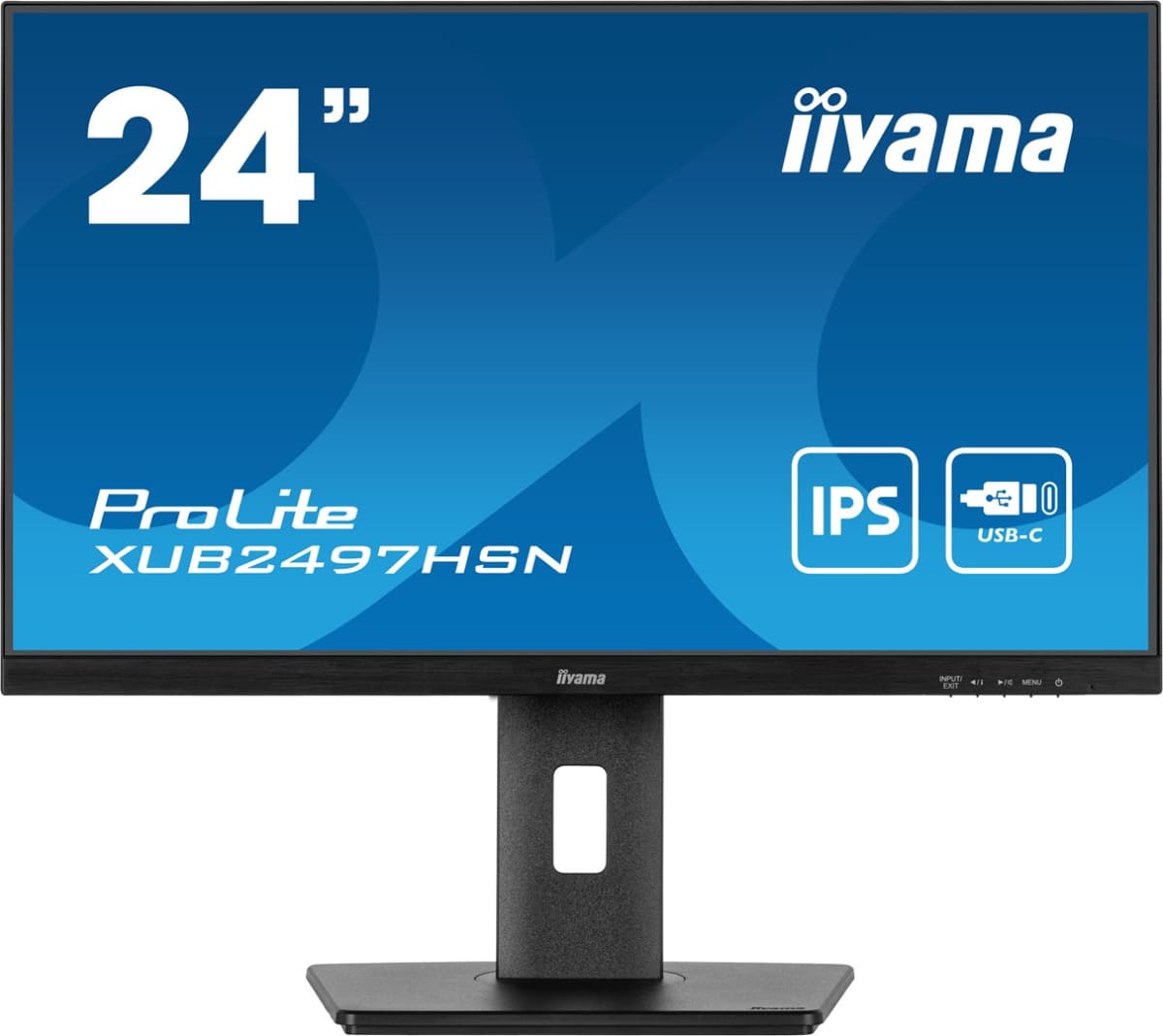 Iiyama ProLite XUB2497HSN-B2 цена
