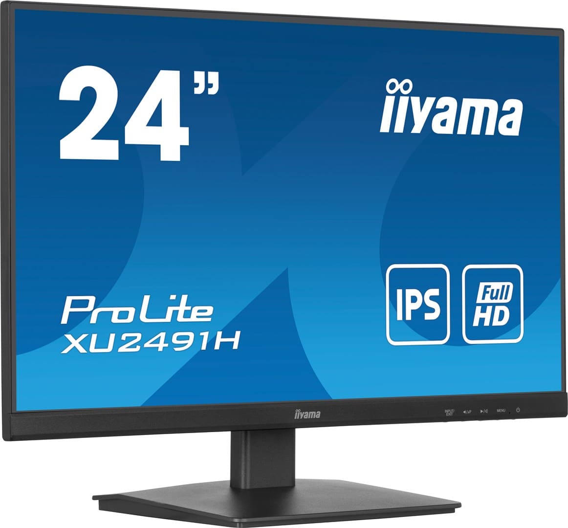 Iiyama ProLite XU2491H-B1 цена