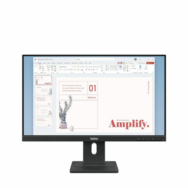 Lenovo ThinkVision E24-40 hind