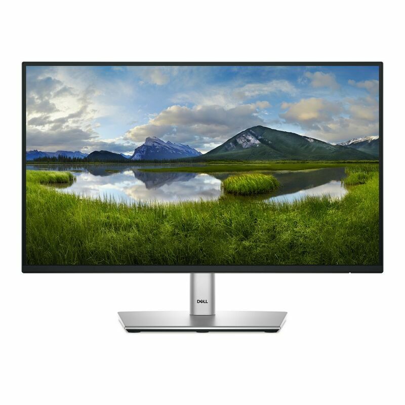 Dell P2225H kaina
