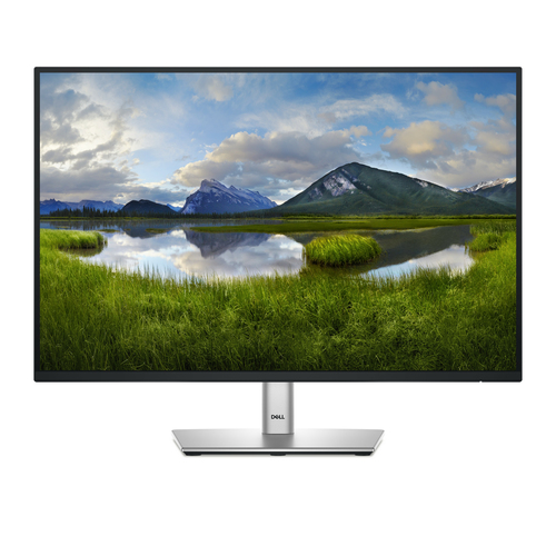 Dell P2425E kaina