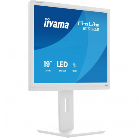 Iiyama ProLite B1980S-W1 cena