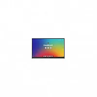 ViewSonic IFP7553
