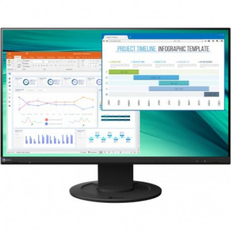 Eizo EV2460 цена