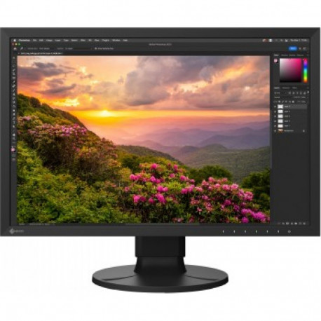 Eizo ColorEdge CS2400S цена