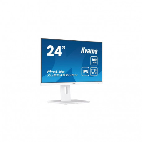 Iiyama Prolite XUB2492HSU-W6 цена