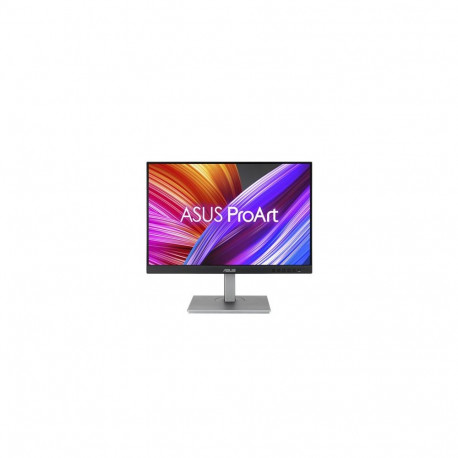Asus ProArt PA248CNV hind