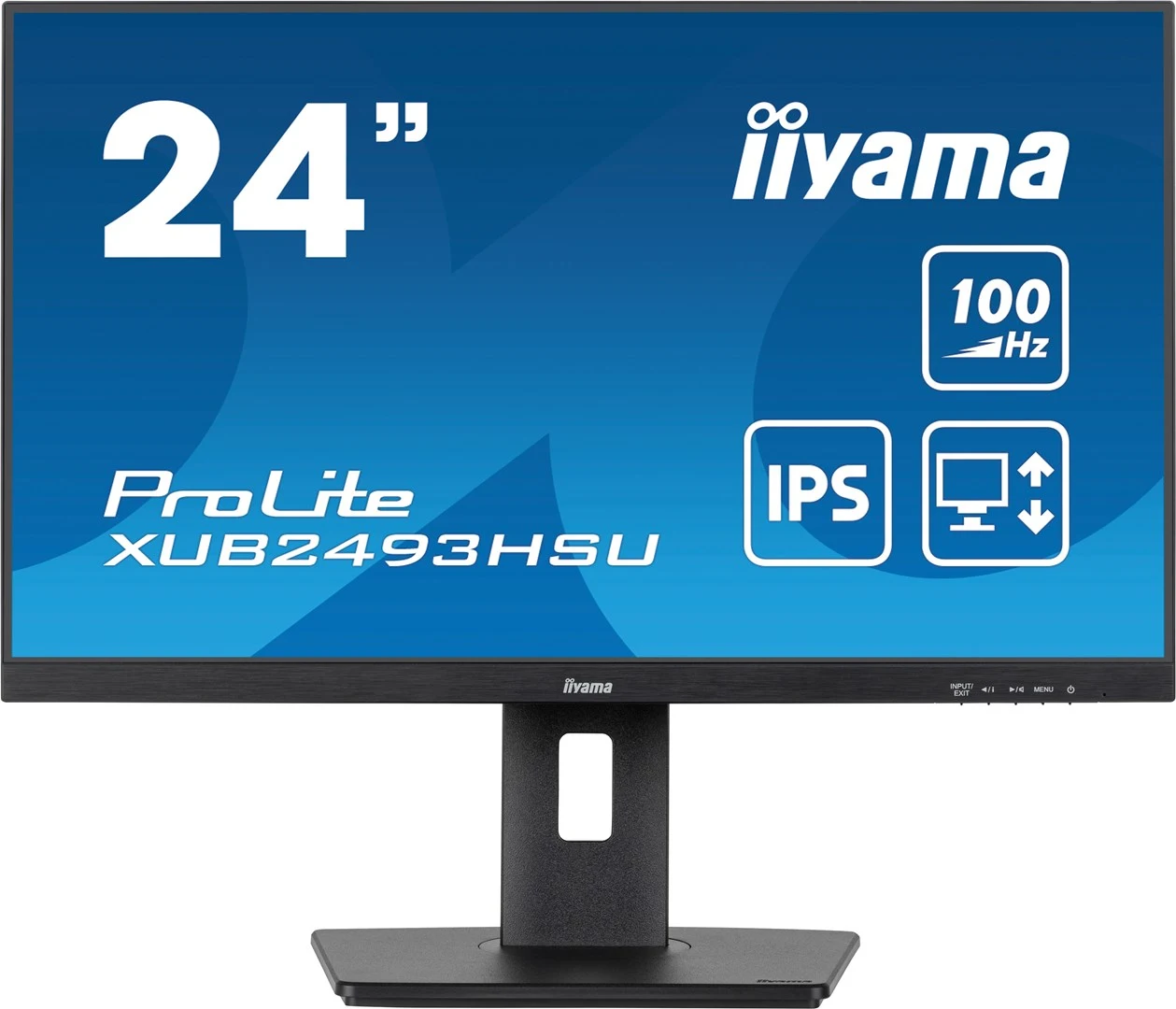 Iiyama ProLite XUB2493HSU-B6 цена