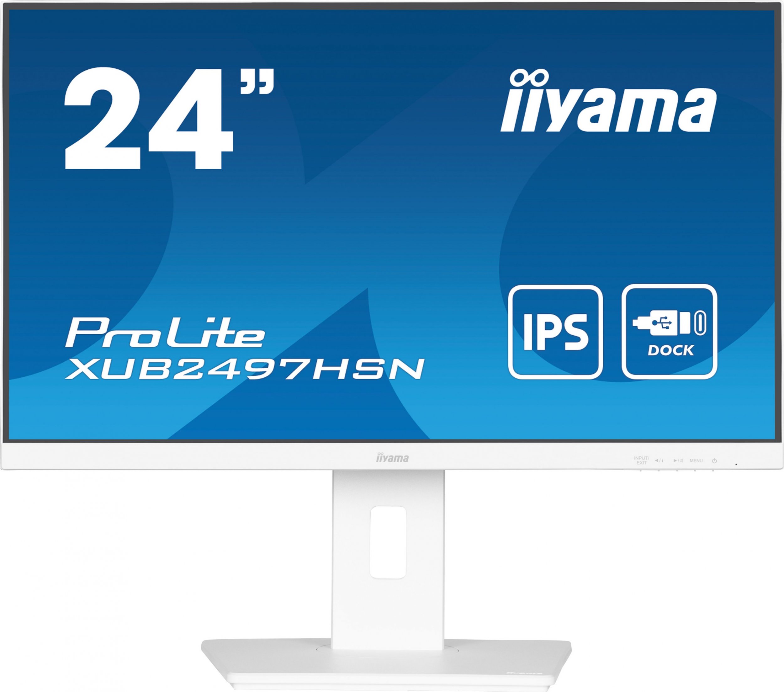 Iiyama ProLite XUB2497HSN-W1 цена