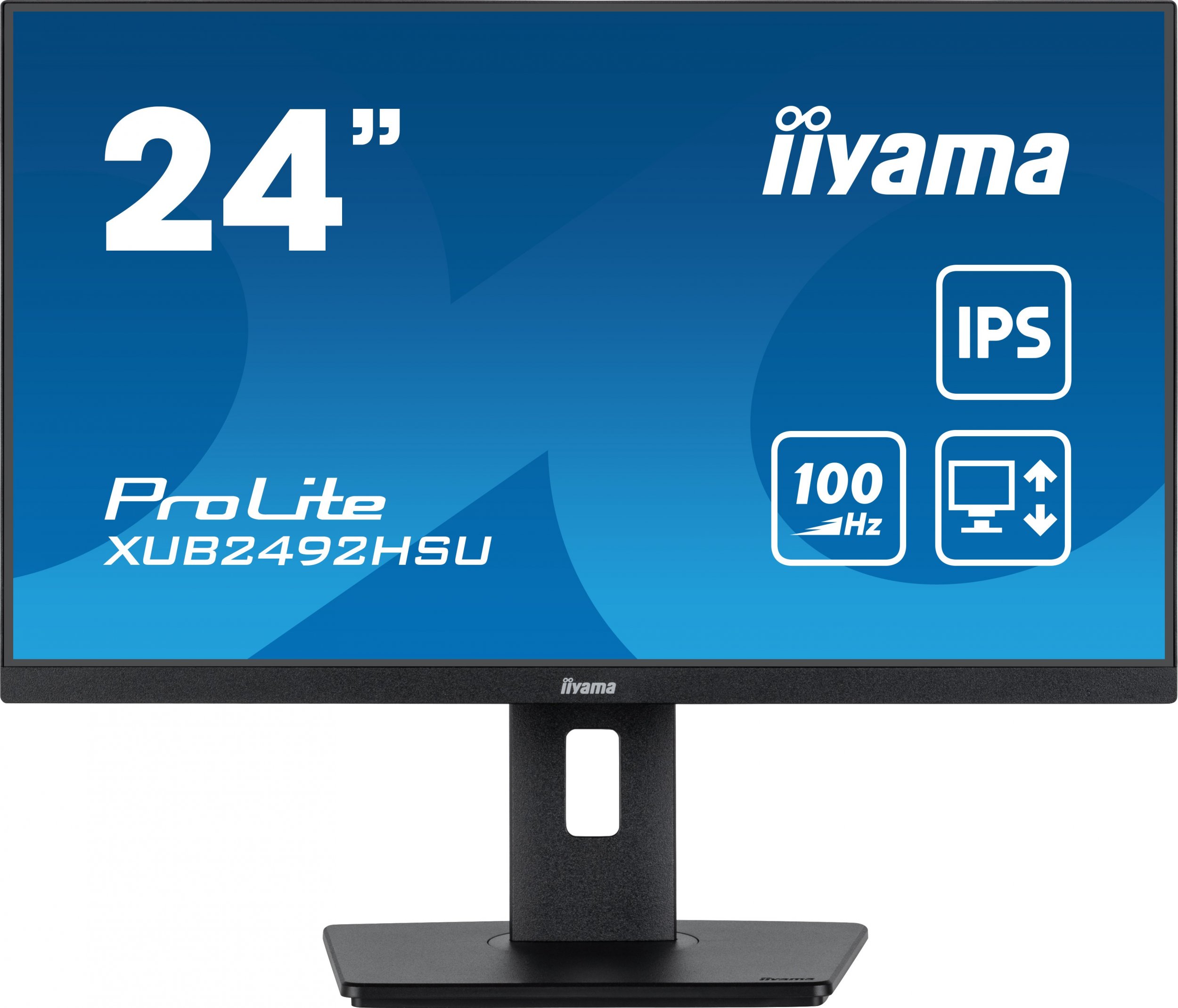 Iiyama Prolite XUB2492HSU-B6 цена