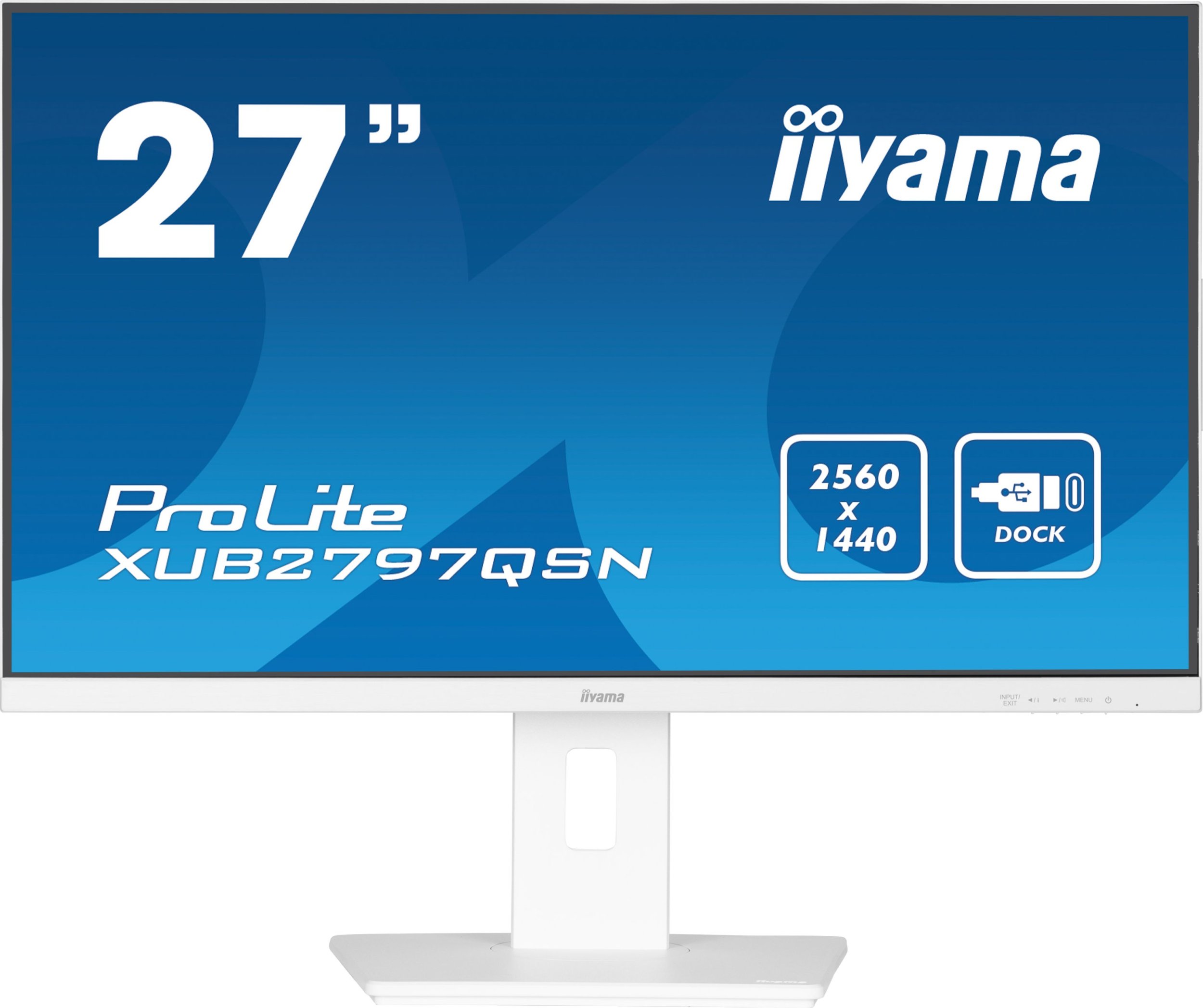 Iiyama ProLite XUB2797QSN-W2 цена