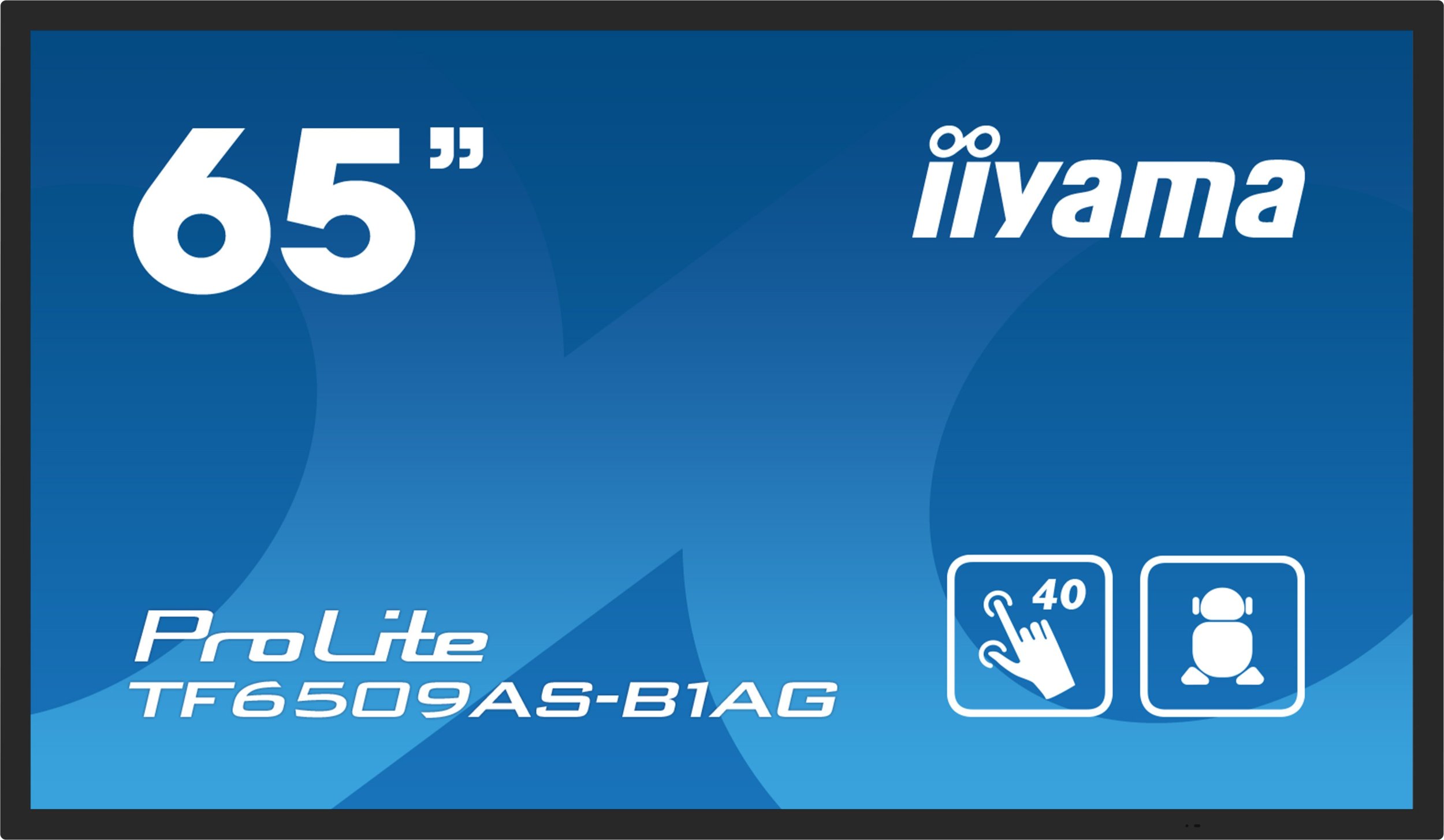Iiyama ProLite TF6539AS-B1AG цена