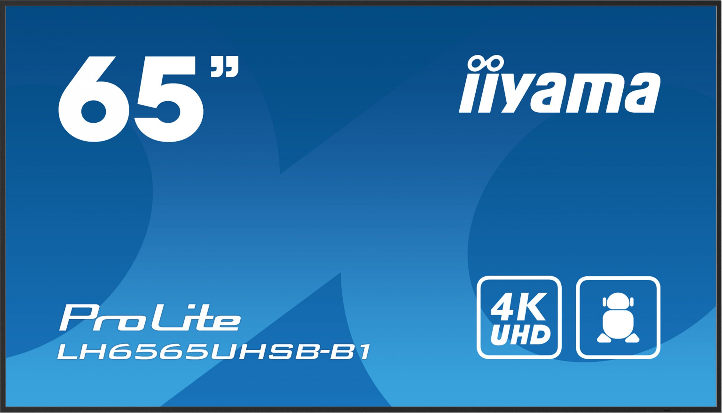 Iiyama ProLite LH6565UHSB-B1 hind