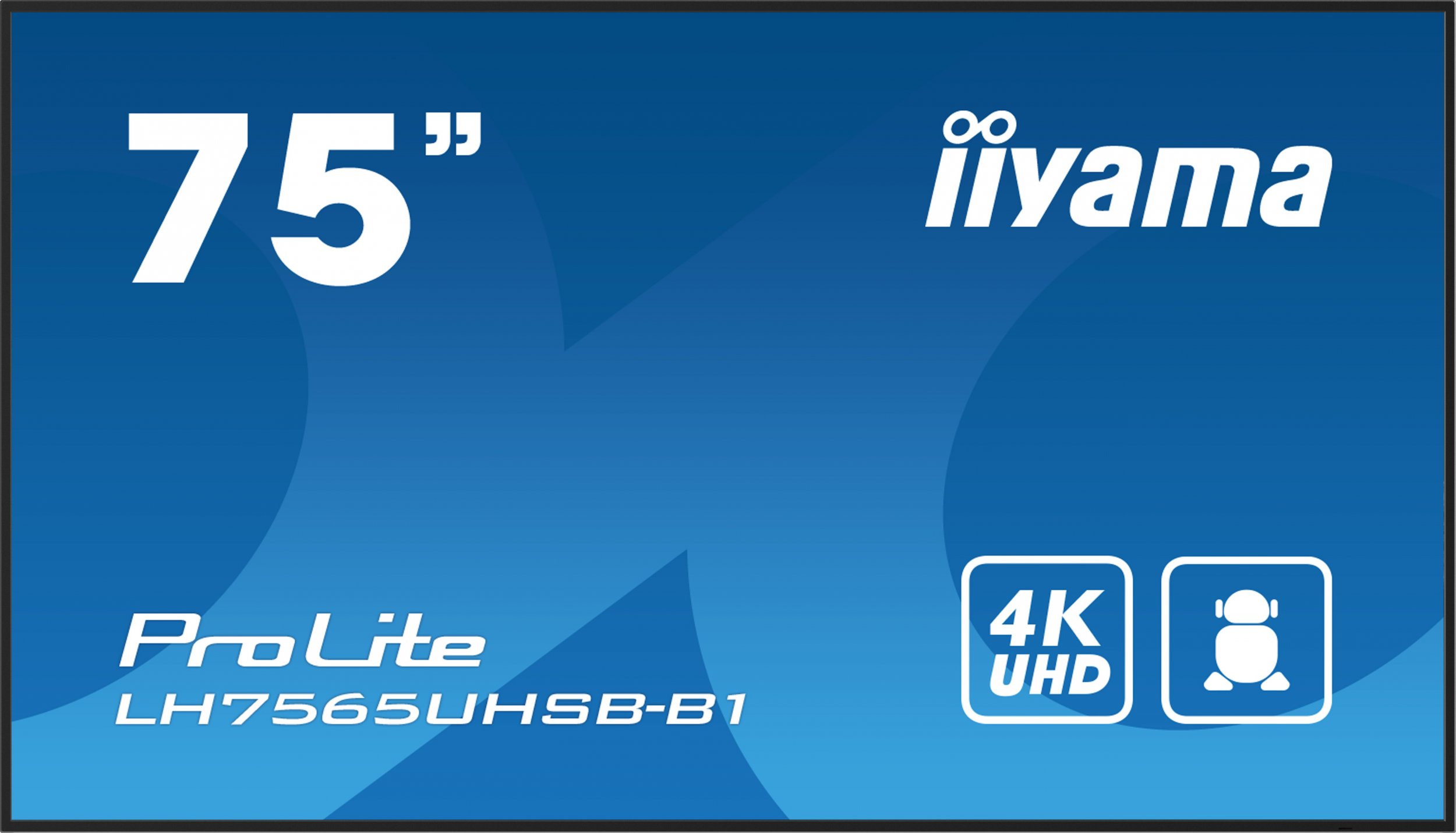 Iiyama ProLite LH7565UHSB-B1 цена