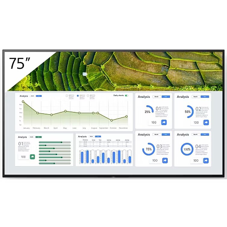 Sony FW-75BZ30L price