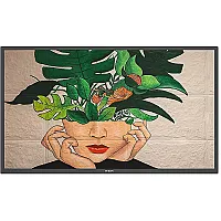 Philips 32BDL4511D