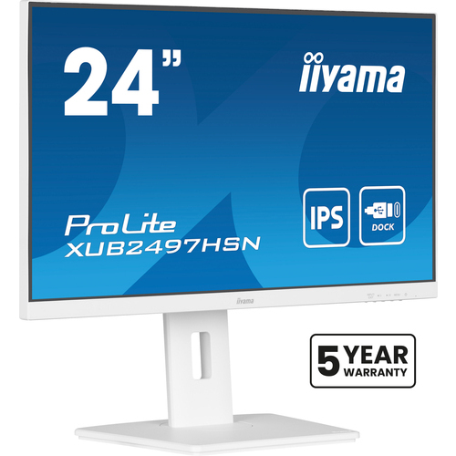 Iiyama ProLite XUB2497HSN-W2 cena