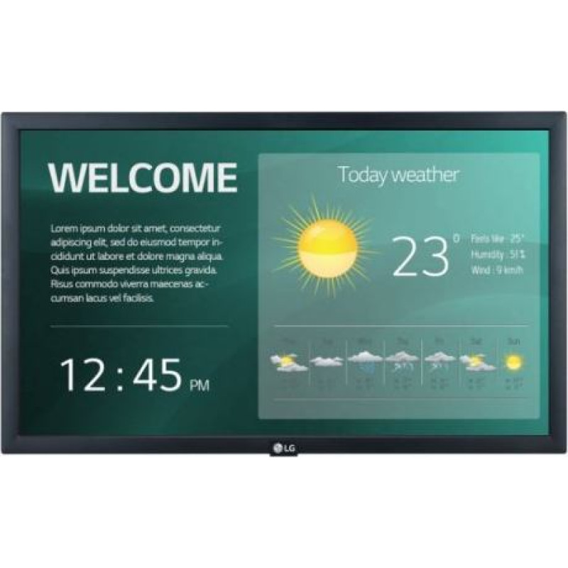 LG 22SM3G цена