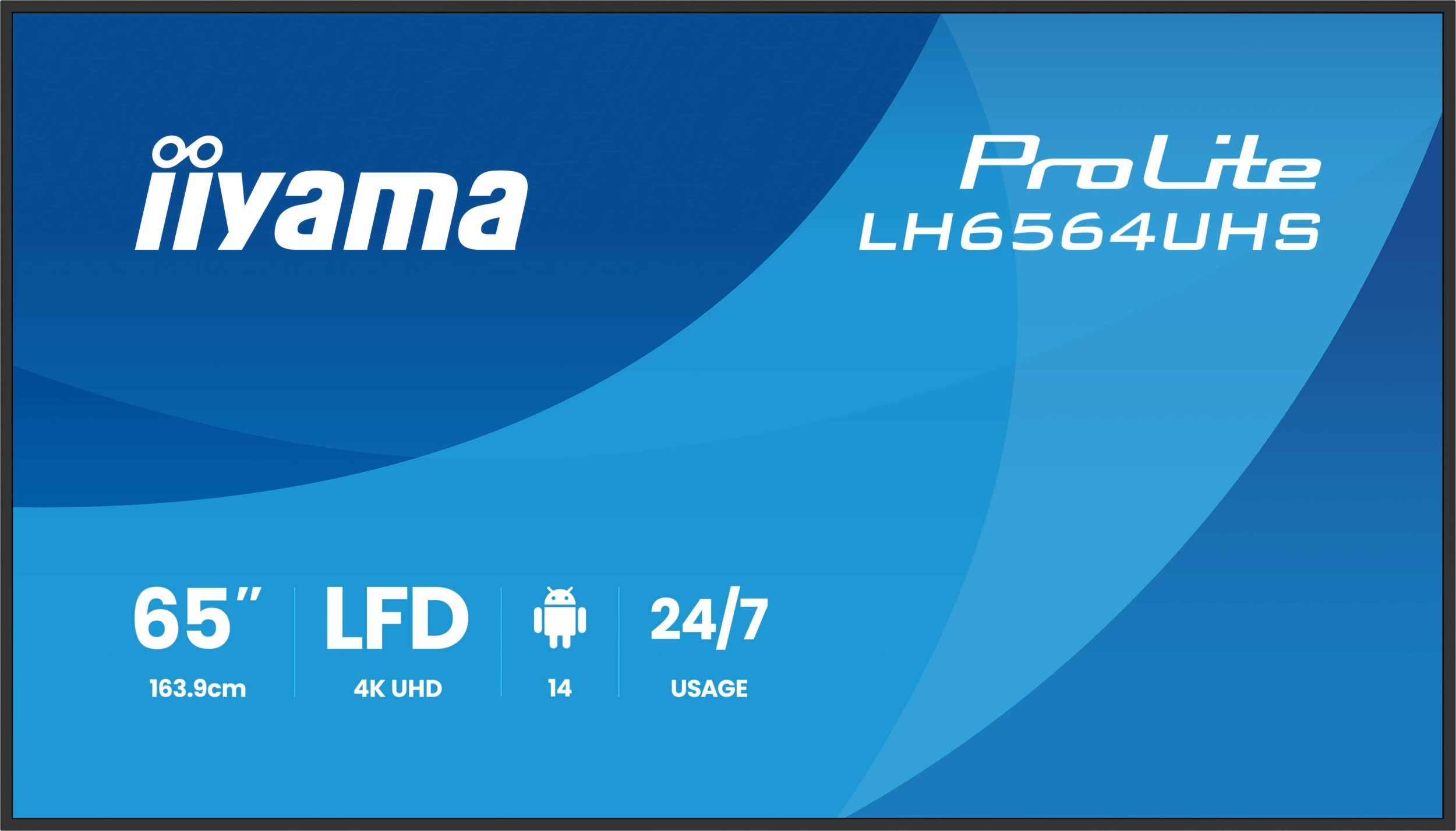 Iiyama ProLite LH6564UHS-B1AG hind