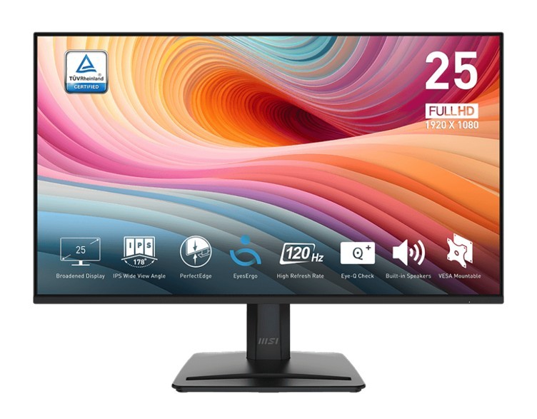 MSI Pro MP251 E2 цена