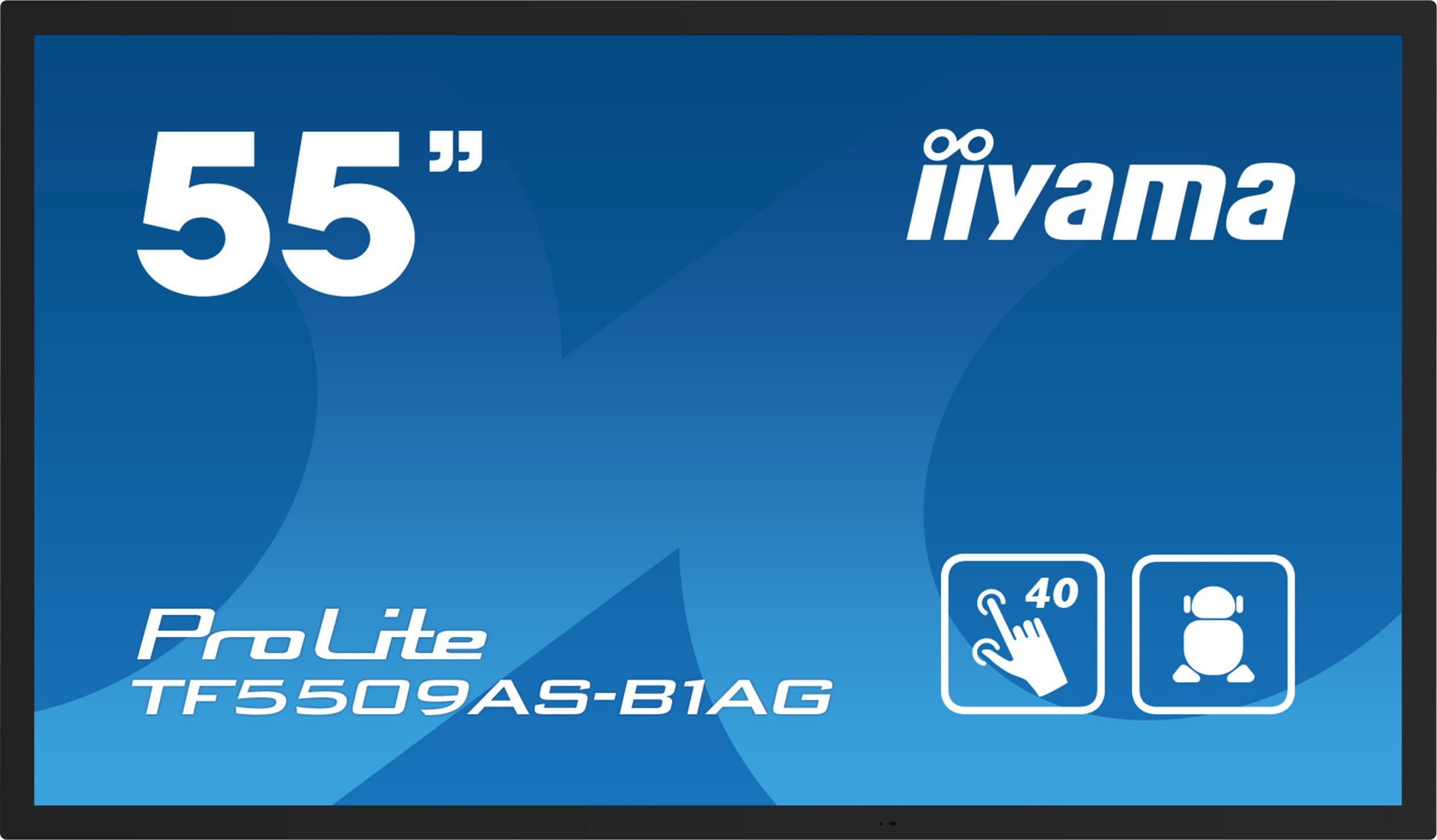 Iiyama ProLite TF5539AS-B1AG цена