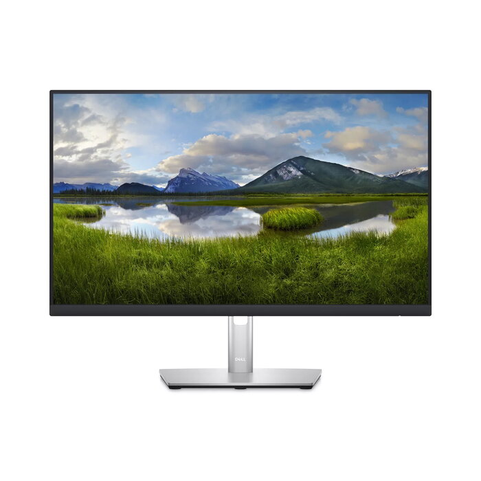 Dell P2423DE цена