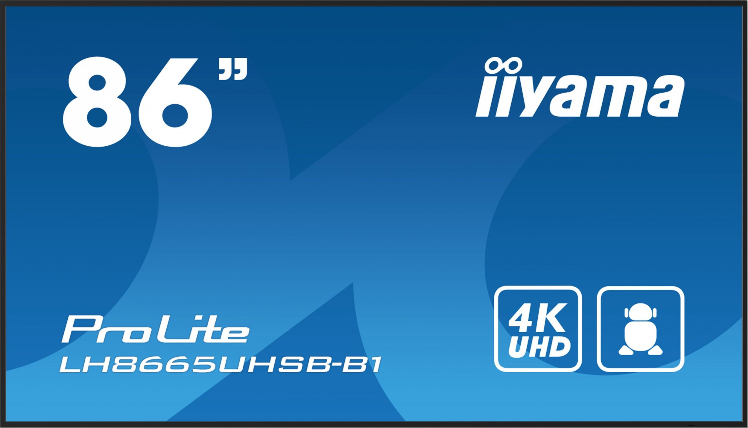 Iiyama ProLite LH8665UHSB-B1 цена
