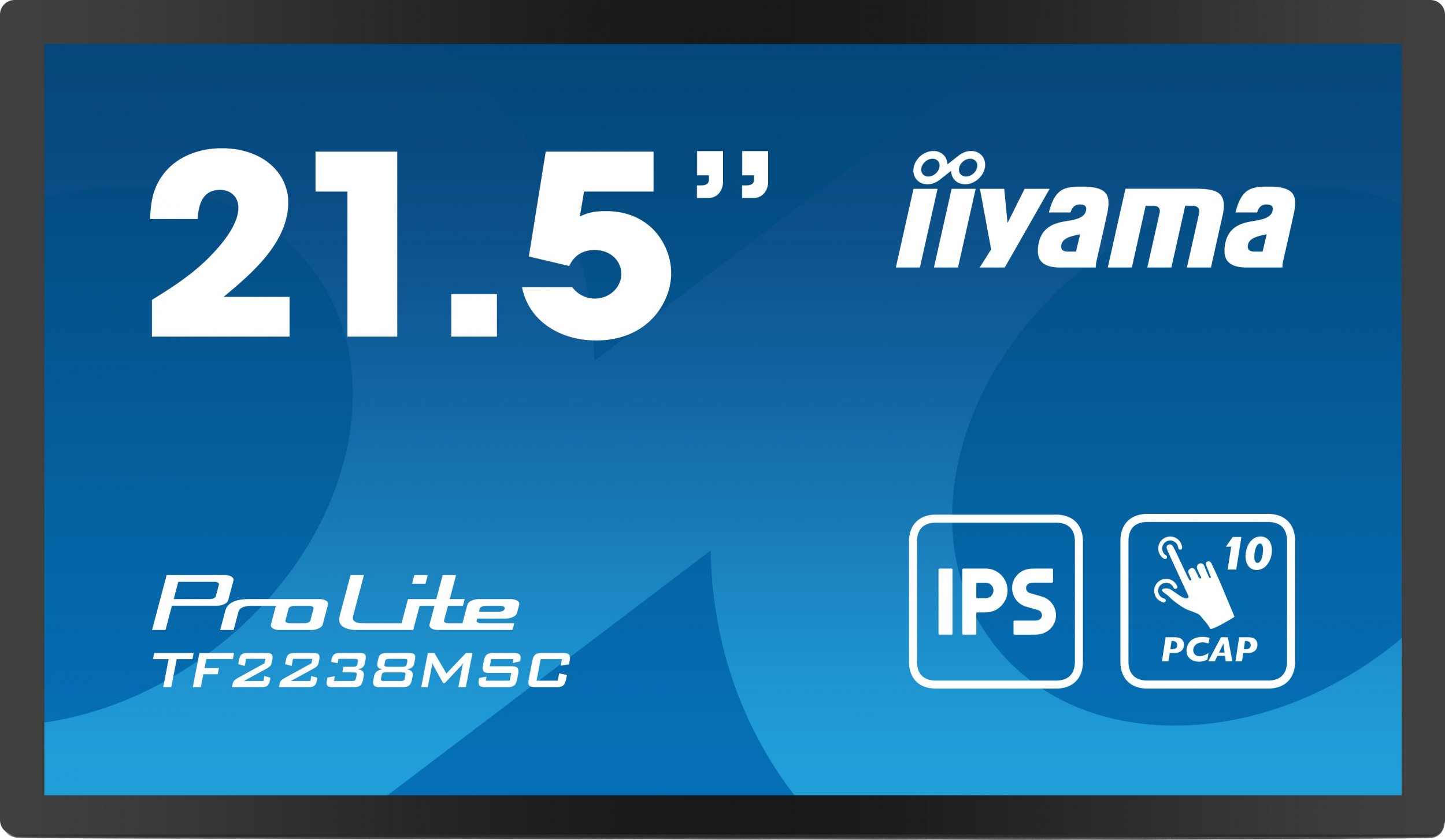 Iiyama ProLite TF2238MSC-B1 цена