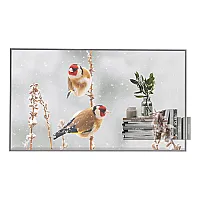 LG 55EW5P-M