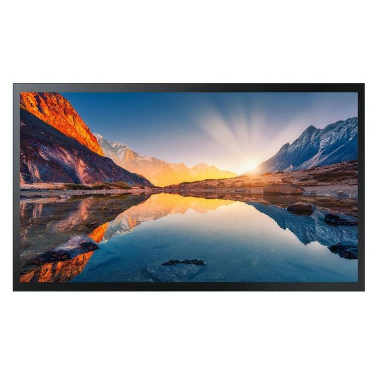 Samsung QM55B-T цена