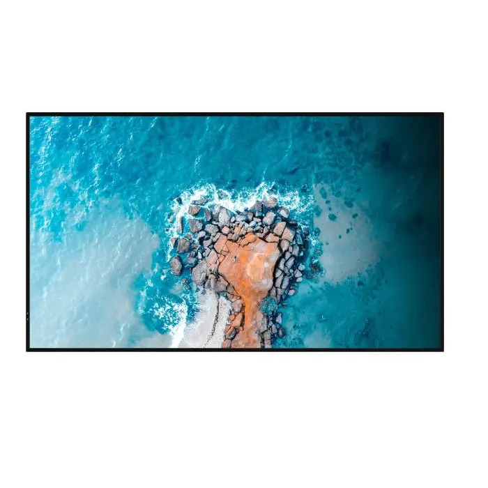 Hisense 100DM66E цена