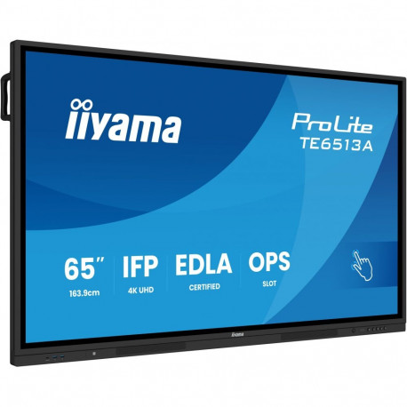 Iiyama ProLite TE6513A-B1AG kaina