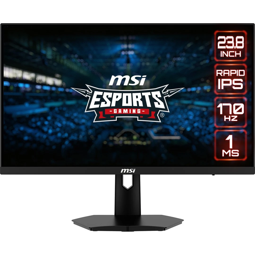 MSI G244F цена