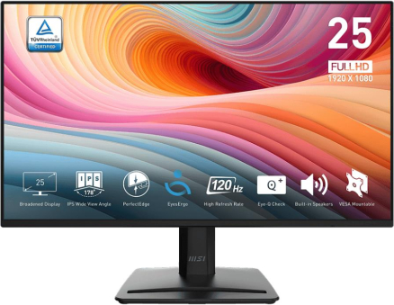 MSI PRO MP252 E2 цена