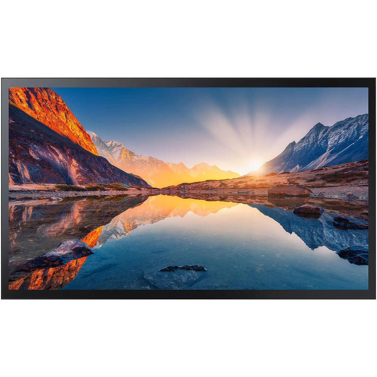 Samsung QM55B цена
