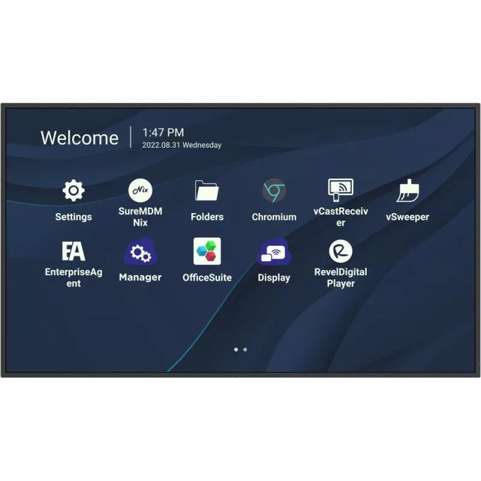 ViewSonic CDE4330 цена