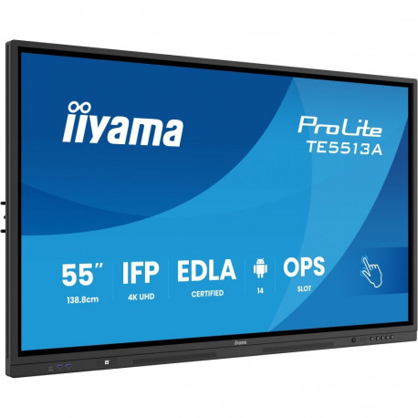 Iiyama ProLite TE5513A-B1AG цена