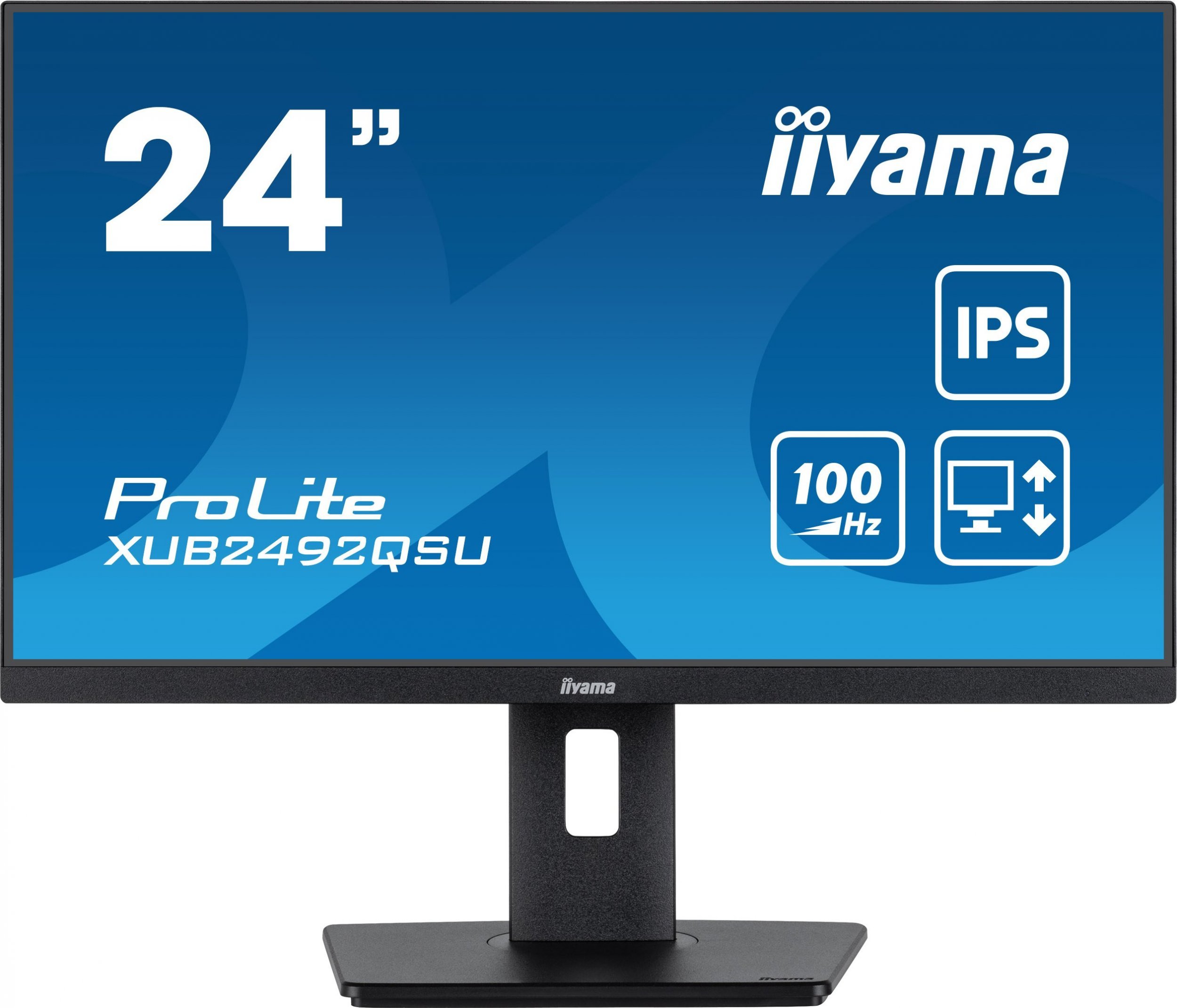 Iiyama ProLite XUB2492QSU цена