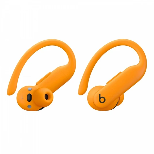 Beats Powerbeats Pro 2 цена