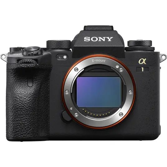 Sony Alpha A1 цена