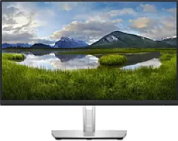 Dell P2423D